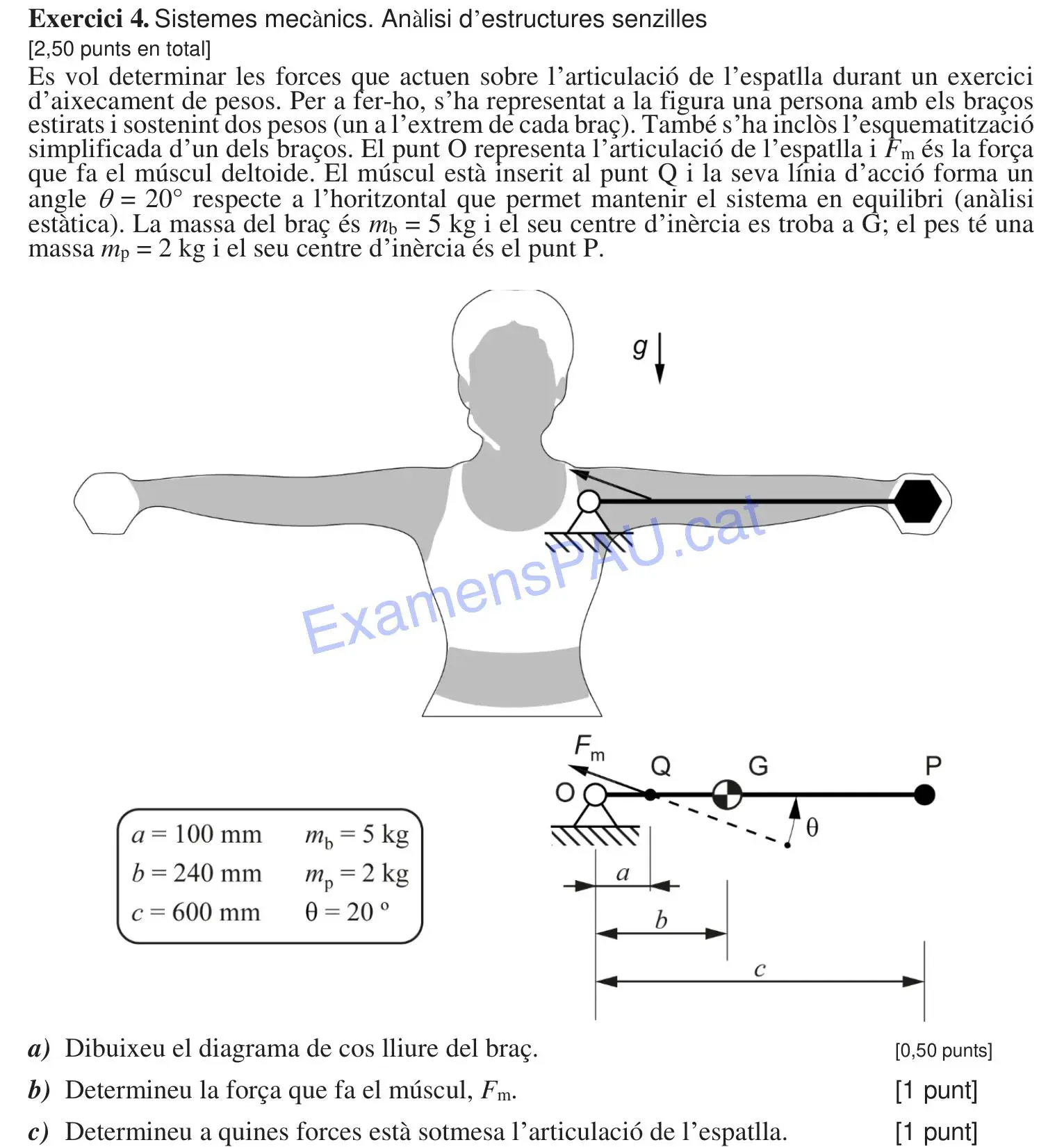 Exercici 6