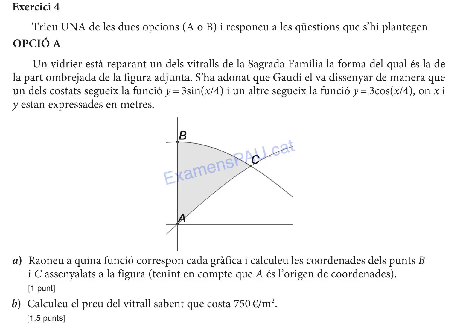 Exercici 6