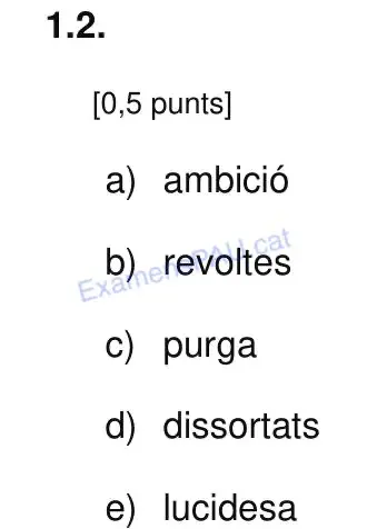 Solució 6